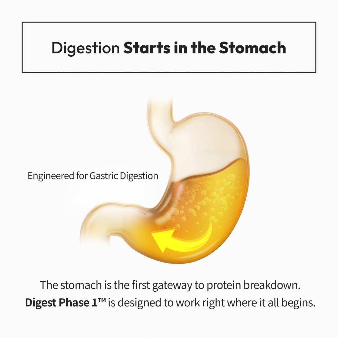 Digest Phase 1™ Gastro