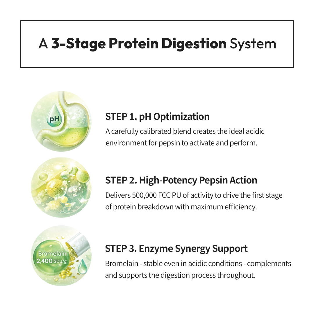 Digest Phase 1™ Gastro